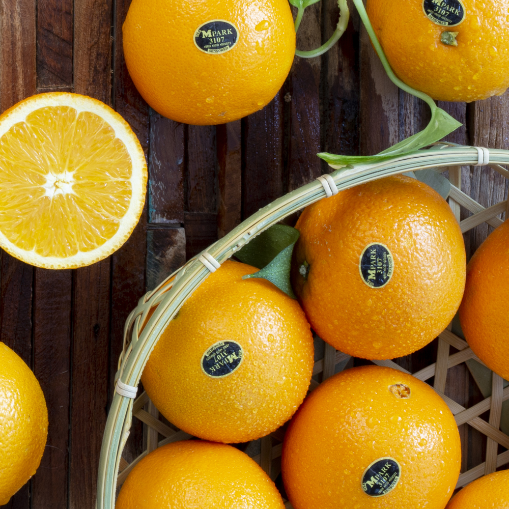 블랙라벨 고당도 오렌지 대과